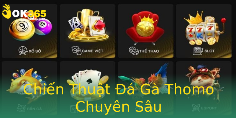 Chiến Thuật Đá Gà Thomo Chuyên Sâu Chiến Thuật Đá Gà Thomo Chuyên Sâu