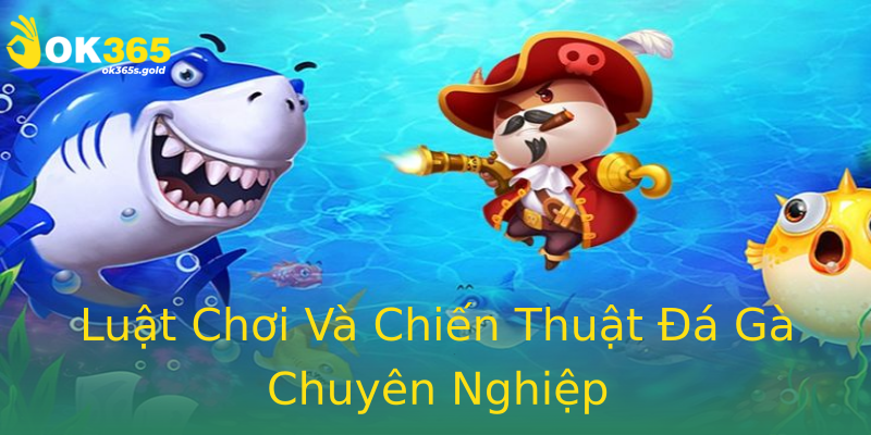 Luật Chơi Và Chiến Thuật Đá Gà Chuyên Nghiệp Luật Chơi Và Chiến Thuật Đá Gà Chuyên Nghiệp